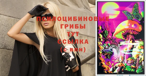 дживик Наволоки