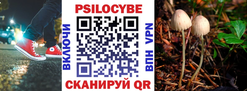 Псилоцибиновые грибы прущие грибы купить закладку Новомичуринск